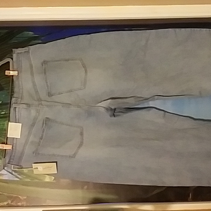 Universal Thread Balloon Jean